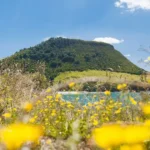 MT MAUNGANUI, NEW ZEALAND