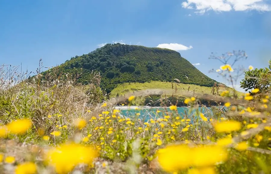 MT MAUNGANUI, NEW ZEALAND