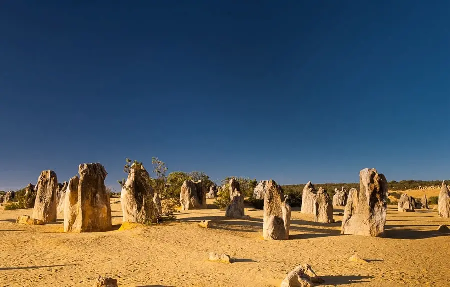 Pinnacles Tours